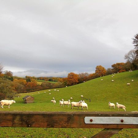 Gwilym'S Stable Apartment Builth Wells Exterior photo